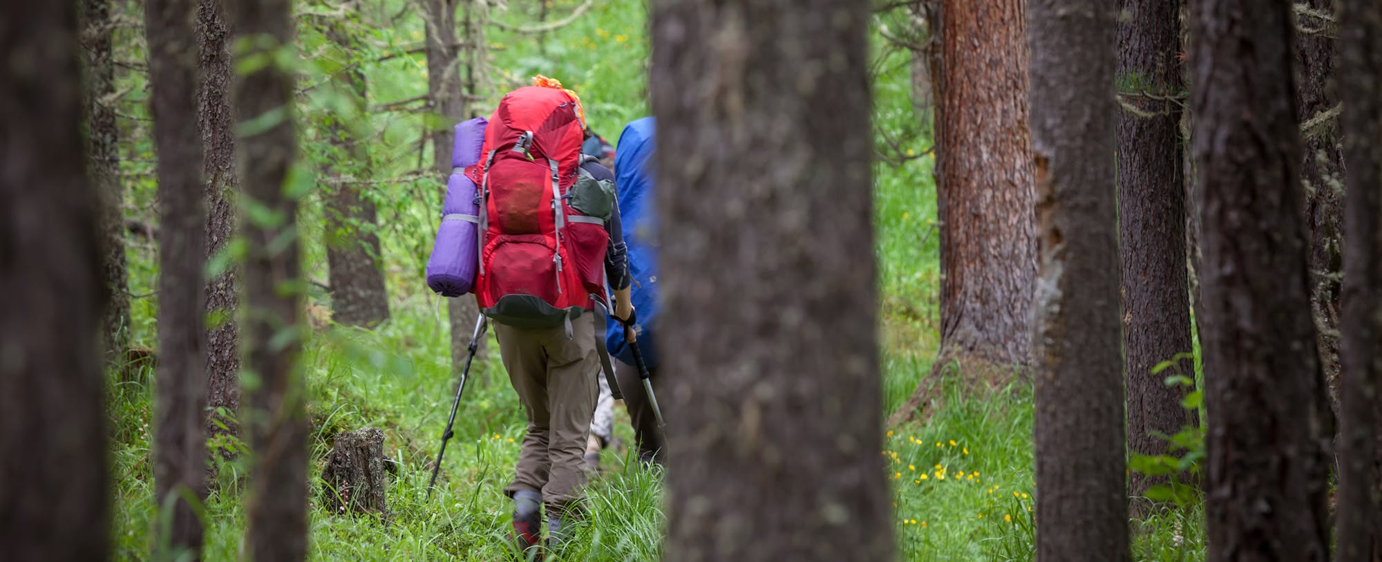 Value Priced Backpacking Gear: Hitting the Trail for Under $500