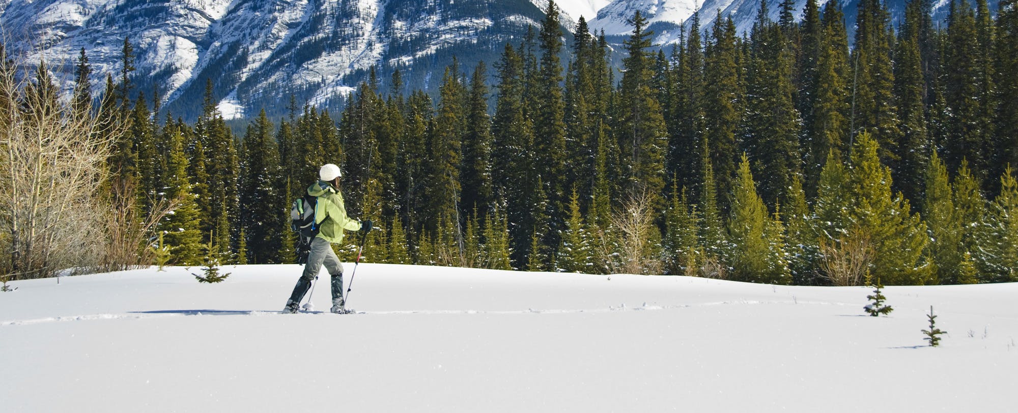 12 Best Snowshoeing Destinations in North America 