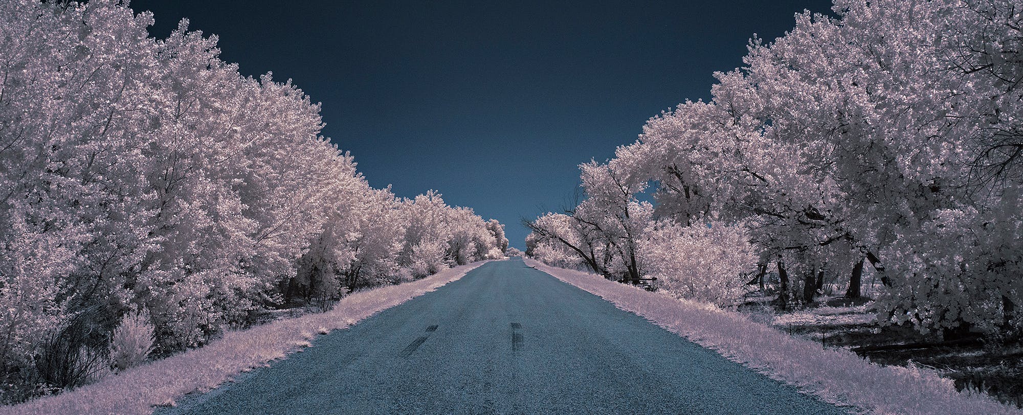 The Unseen: Infrared Photography Tips and Tricks
