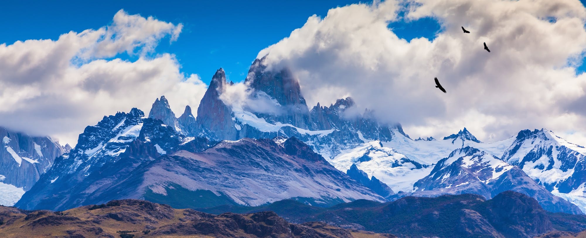 Fair Trade Certified: Patagonia Partners With Fair Trade USA