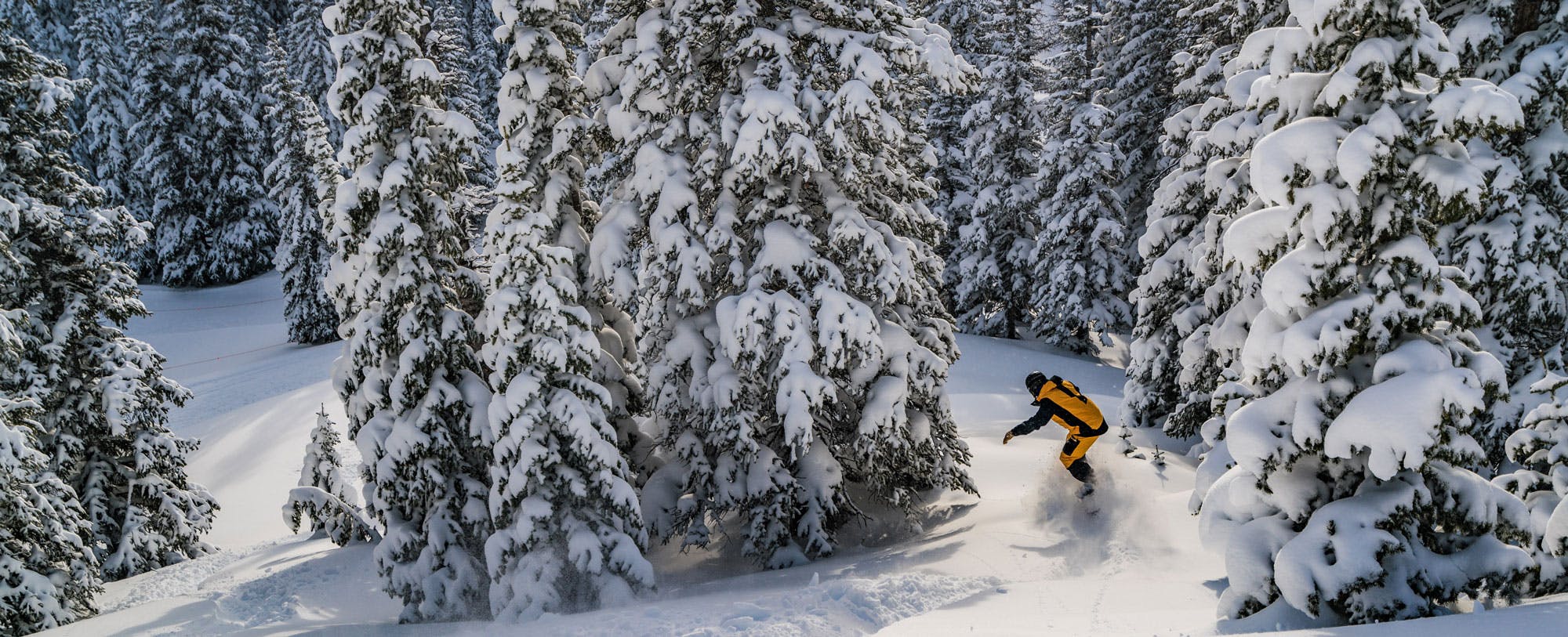 4 Pro Models for the Best Snowboarding Kit